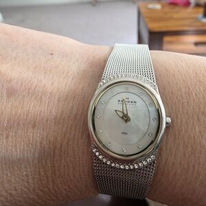 Skagen Silver Mesh Watch